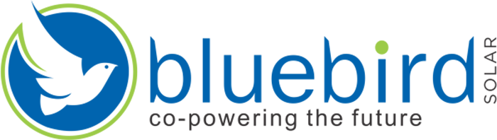BlueBird